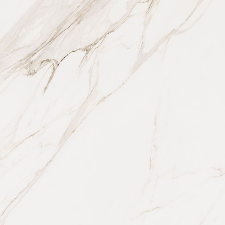 Omnia Calacatta Matte 48 x 48